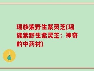 瑶族紫野生紫灵芝(瑶族紫野生紫灵芝：神奇的中药材)