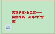 灵芝的素材(灵芝——抗癌神药，身体的守护者)