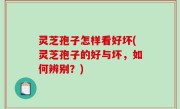 灵芝孢子怎样看好坏(灵芝孢子的好与坏，如何辨别？)