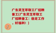 广东灵芝萃取工厂招聘普工(广东灵芝萃取工厂招聘普工：稳定工作，好福利！)