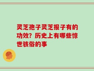 灵芝孢子灵芝报子有的功效？历史上有哪些惊世骇俗的事
