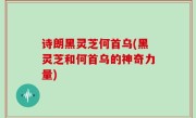 诗朗黑灵芝何首乌(黑灵芝和何首乌的神奇力量)