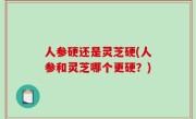 人参硬还是灵芝硬(人参和灵芝哪个更硬？)
