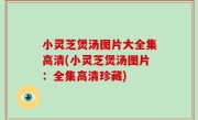 小灵芝煲汤图片大全集高清(小灵芝煲汤图片：全集高清珍藏)