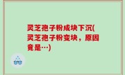 灵芝孢子粉成块下沉(灵芝孢子粉变块，原因竟是…)