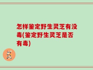 怎样鉴定野生灵芝有没毒(鉴定野生灵芝是否有毒)