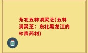 东北五林洞灵芝(五林洞灵芝：东北黑龙江的珍贵药材)