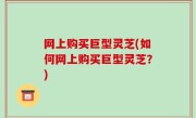 网上购买巨型灵芝(如何网上购买巨型灵芝？)