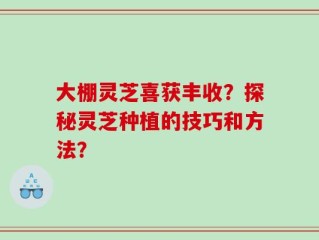 大棚灵芝喜获丰收？探秘灵芝种植的技巧和方法？