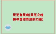 灵芝有灵魂(灵芝之魂探寻自然奇迹的力量)