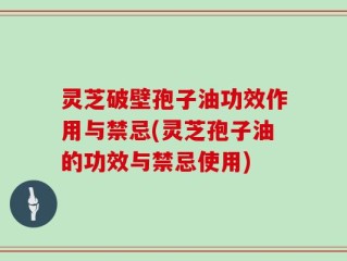 灵芝破壁孢子油功效作用与禁忌(灵芝孢子油的功效与禁忌使用)