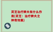 灵芝治疗脾大有什么作用(灵芝：治疗脾大之神奇效果)