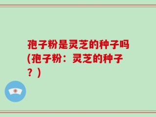 孢子粉是灵芝的种子吗(孢子粉：灵芝的种子？)