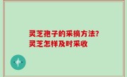 灵芝孢子的采摘方法？灵芝怎样及时采收