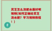 灵芝怎么浇肥水最好呢视频(如何正确给灵芝浇水肥？学习视频教程！)
