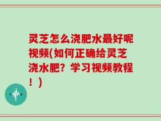 灵芝怎么浇肥水最好呢视频(如何正确给灵芝浇水肥？学习视频教程！)