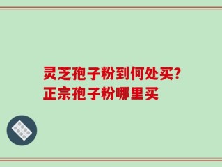 灵芝孢子粉到何处买？正宗孢子粉哪里买
