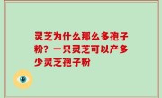 灵芝为什么那么多孢子粉？一只灵芝可以产多少灵芝孢子粉
