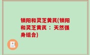 锁阳和灵芝黄芪(锁阳和灵芝黄芪 ：天然强身组合)