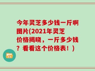 今年灵芝多少钱一斤啊图片(2021年灵芝价格揭晓，一斤多少钱？看看这个价格表！)