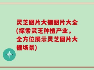 灵芝图片大棚图片大全(探索灵芝种植产业，全方位展示灵芝图片大棚场景)