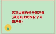 灵芝山查枸杞子西洋参(灵芝山上的枸杞子与西洋参)