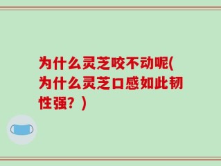 为什么灵芝咬不动呢(为什么灵芝口感如此韧性强？)