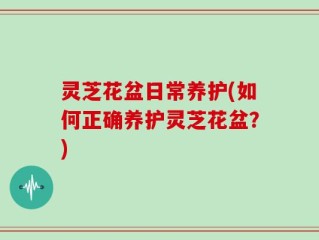灵芝花盆日常养护(如何正确养护灵芝花盆？)