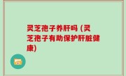 灵芝孢子养肝吗 (灵芝孢子有助保护肝脏健康)