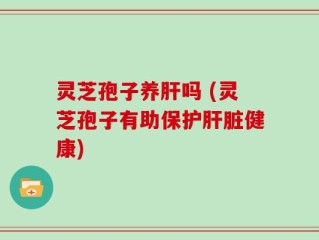 灵芝孢子养肝吗 (灵芝孢子有助保护肝脏健康)