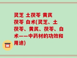 灵芝 土茯苓 黄芪 茯苓 白术(灵芝、土茯苓、黄芪、茯苓、白术——中药材的功效和用途)