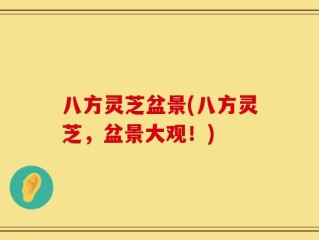 八方灵芝盆景(八方灵芝，盆景大观！)