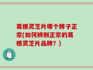 葛根灵芝片哪个牌子正宗(如何辨别正宗的葛根灵芝片品牌？)