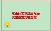 买来的灵芝栽培方法(灵芝自家栽培指南)