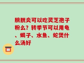 膀胱炎可以吃灵芝孢子粉么？转季节可以用龟、蝎子、水鱼、蛇煲什么汤好