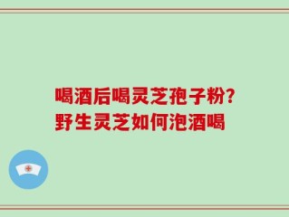 喝酒后喝灵芝孢子粉？野生灵芝如何泡酒喝