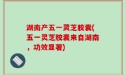 湖南产五一灵芝胶囊(五一灵芝胶囊来自湖南，功效显著)