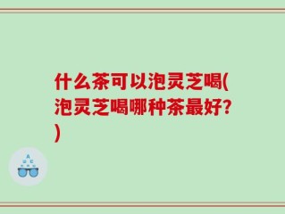 什么茶可以泡灵芝喝(泡灵芝喝哪种茶最好？)
