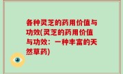 各种灵芝的药用价值与功效(灵芝的药用价值与功效：一种丰富的天然草药)