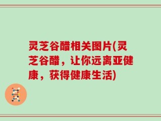 灵芝谷醋相关图片(灵芝谷醋，让你远离亚健康，获得健康生活)