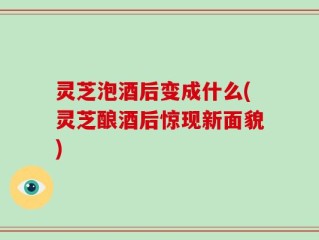灵芝泡酒后变成什么(灵芝酿酒后惊现新面貌)