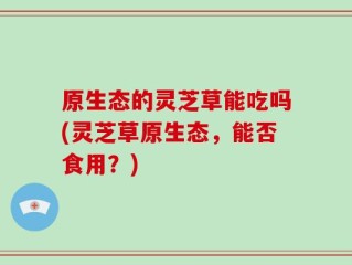 原生态的灵芝草能吃吗(灵芝草原生态，能否食用？)