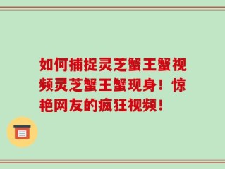 如何捕捉灵芝蟹王蟹视频灵芝蟹王蟹现身！惊艳网友的疯狂视频！