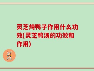 灵芝炖鸭子作用什么功效(灵芝鸭汤的功效和作用)