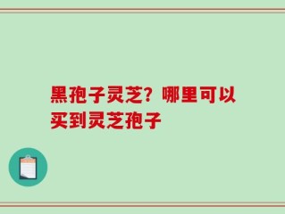 黑孢子灵芝？哪里可以买到灵芝孢子
