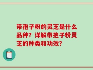 带孢子粉的灵芝是什么品种？详解带孢子粉灵芝的种类和功效？