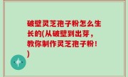破壁灵芝孢子粉怎么生长的(从破壁到出芽，教你制作灵芝孢子粉！)
