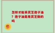 怎样才能采灵芝孢子油？孢子油是用灵芝做的吗