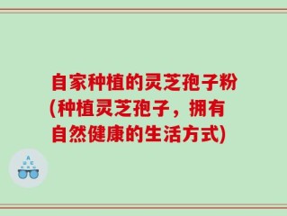 自家种植的灵芝孢子粉(种植灵芝孢子，拥有自然健康的生活方式)