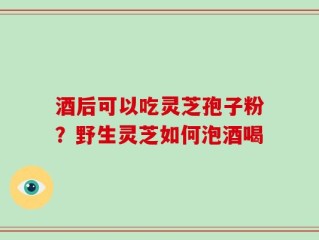 酒后可以吃灵芝孢子粉？野生灵芝如何泡酒喝